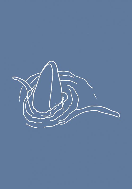 Cartoline d'artista