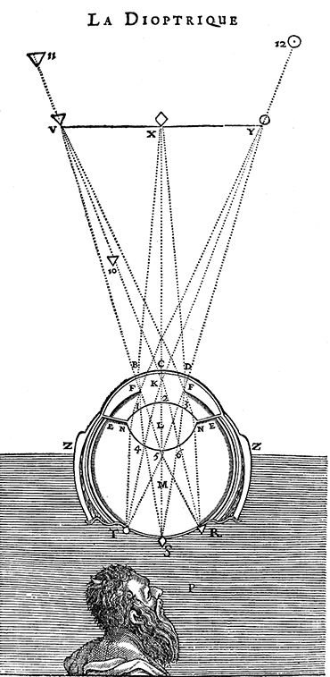 Photogallery 10