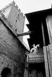 Gallery 5