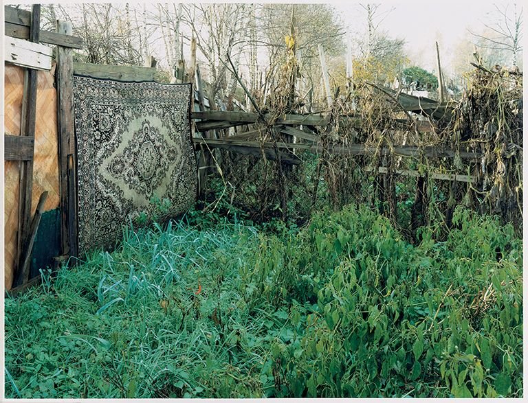 Photogallery 6