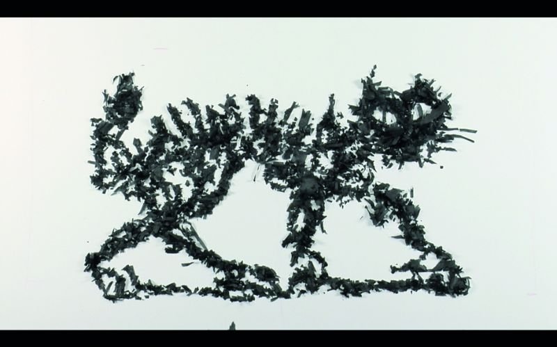 Photogallery 7