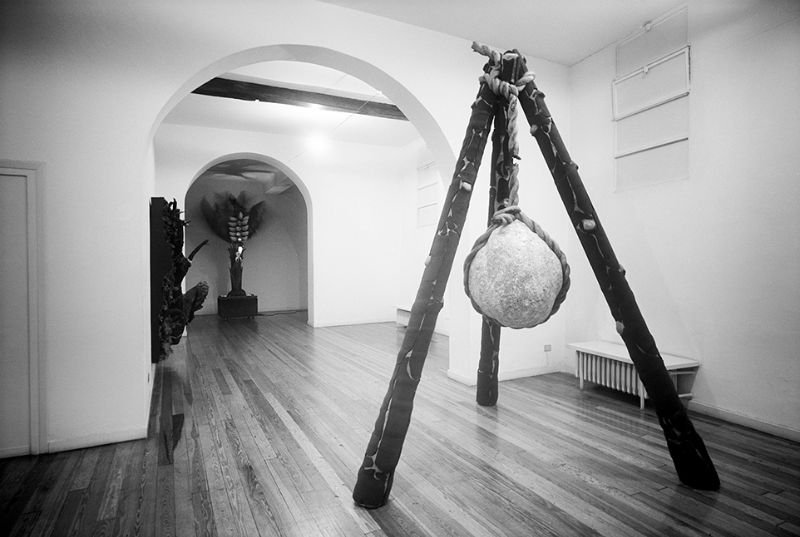 Photogallery 14