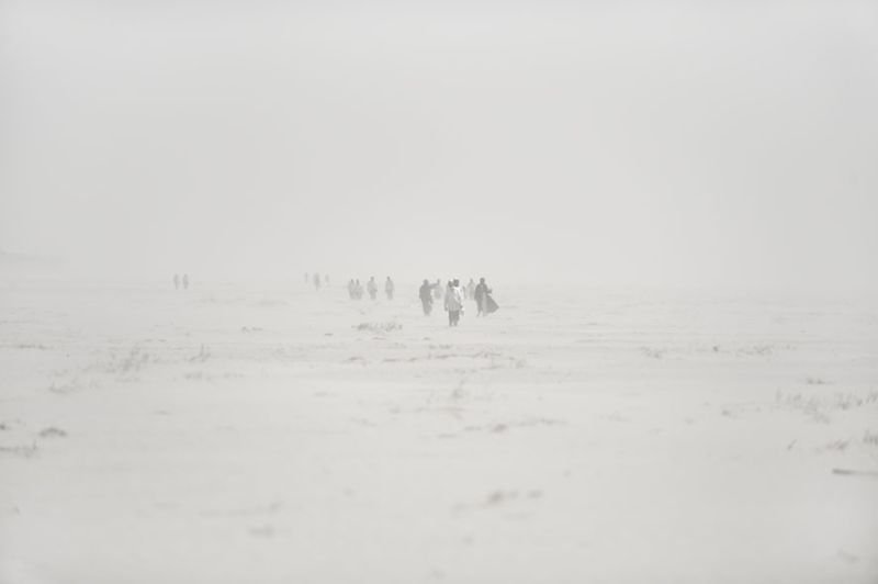 Photogallery 5