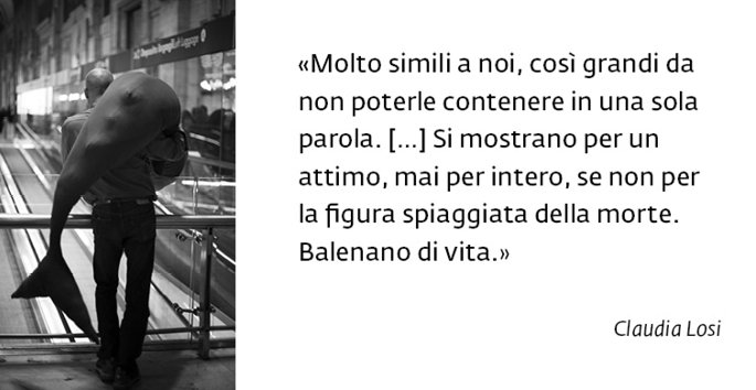 The Whale Theory a Casa Testori - 05.04 | ore 21.15
